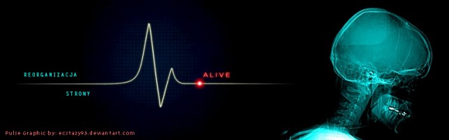 Reorganizacja strony